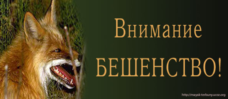 ВНИМАНИЕ БЕШЕНСТВО!!! В текущем году зарегистрировано 9 случаев заболевания животных бешенством..